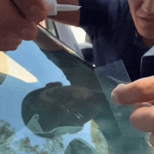 GlassGuard Pro™ – Kit Reparador de vidrio Automotriz o de hogar - imagen 2